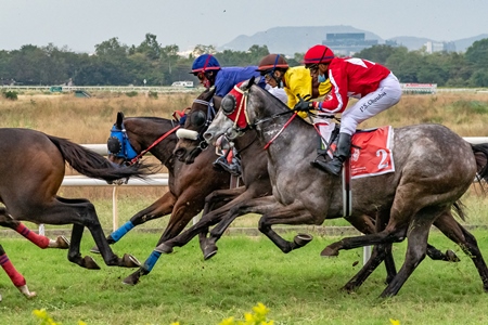Indian horses racing in horse race at Pune racecourse, Maharashtra, India, 2021