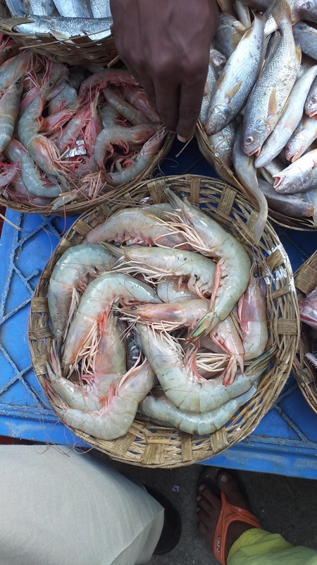 Photo of baskets of prawns, fish and sea creatures on sale at a fish market, India