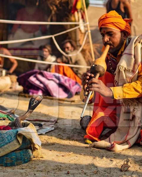 Snake charmer man playing pungi instrument with cobra snake in basket, India