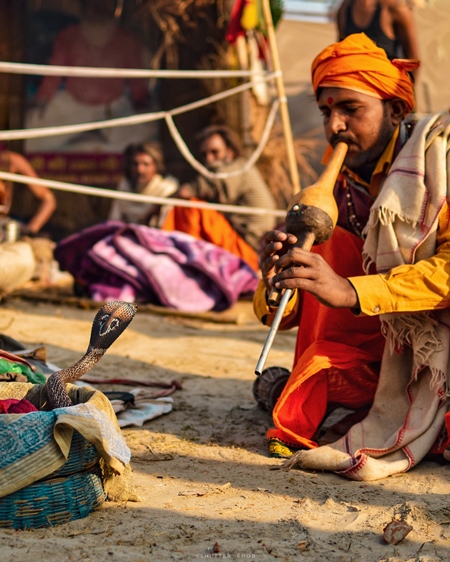 Snake charmer man playing pungi instrument with cobra snake in basket, India