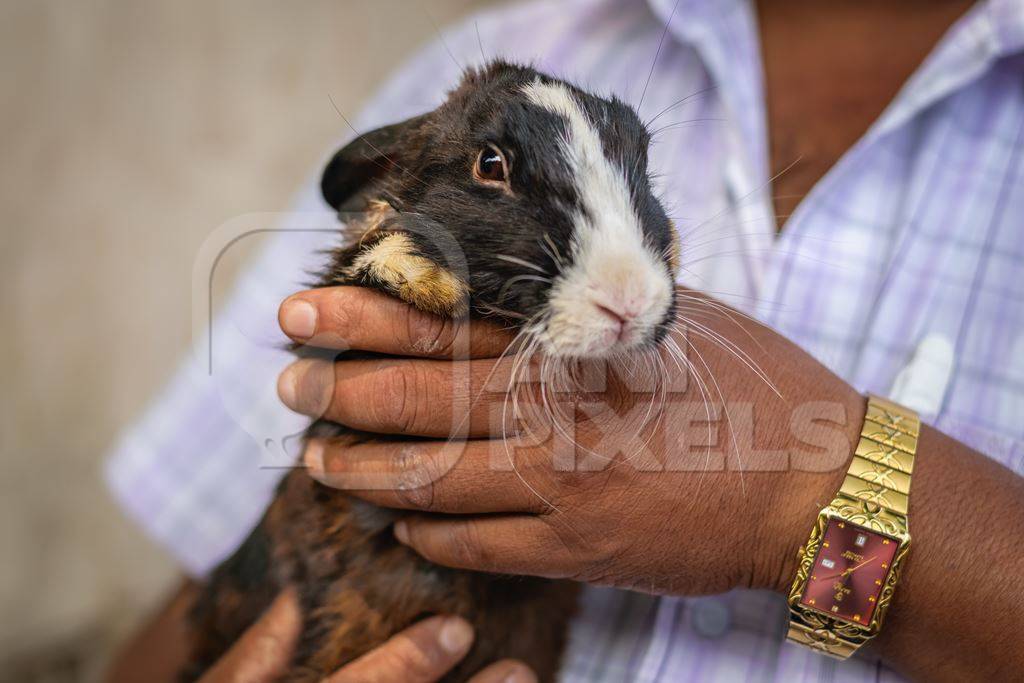 Man holding rabbit on sale for meat at Juna Bazaar market