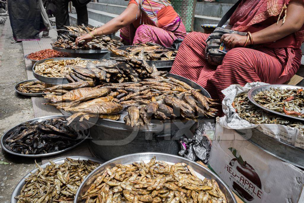 Women selling dried fish and other creatures in the street