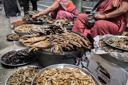 Women selling dried fish and other creatures in the street