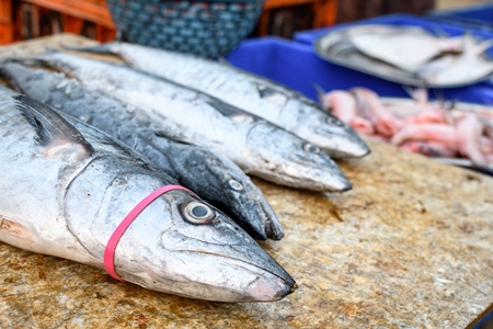 Dead Indian seer fish on sale at Malvan fish market on beach in Malvan, Maharashtra, India, 2022