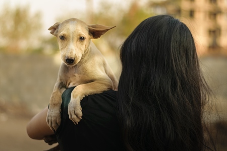 Volunteer animal rescuer girl holding a pale brown street puppy in her arms