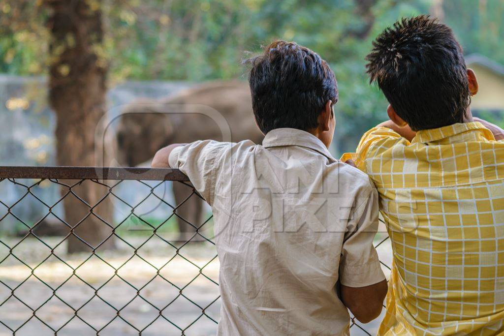 Boys watching captive elephant in enclosure at Byculla zoo