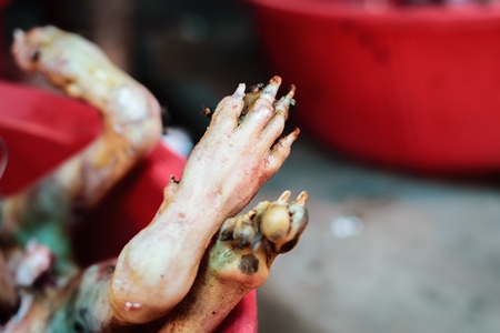 Dead dog legs or feet on sale a dog meat market in Kohima in Nagaland, India, 2018