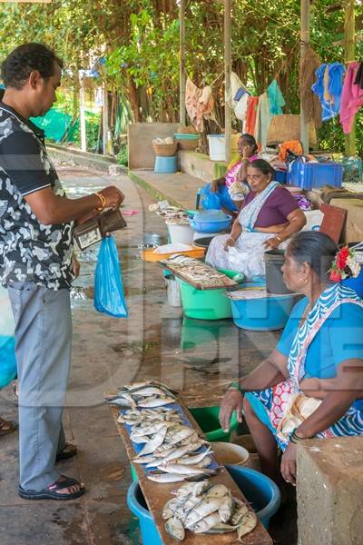 Fish on sale at a fish market near Arambol beach in Goa