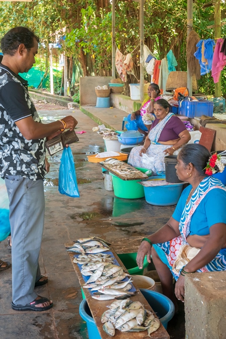 Fish on sale at a fish market near Arambol beach in Goa