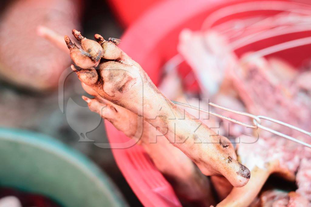 Dead dog legs or feet on sale a dog meat market in Kohima in Nagaland, India, 2018