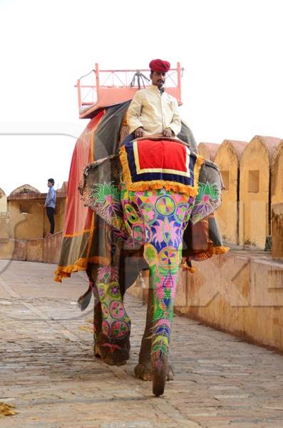 Man sitting on painted elephant  at Amber Fort