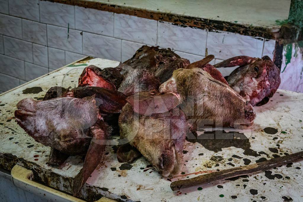 Heads of butchered goats and sheep at the meat market inside New Market, Kolkata, Inida, 2022
