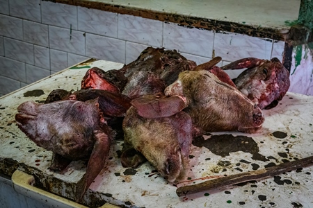 Heads of butchered goats and sheep at the meat market inside New Market, Kolkata, Inida, 2022