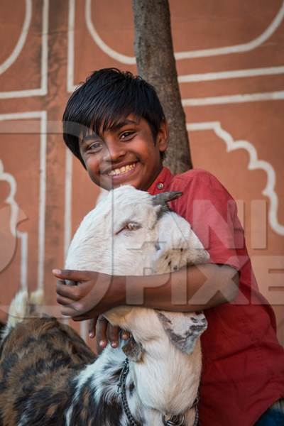 Portait of young Indian boy with goat and orange wall background, Jaipur, India, 2022