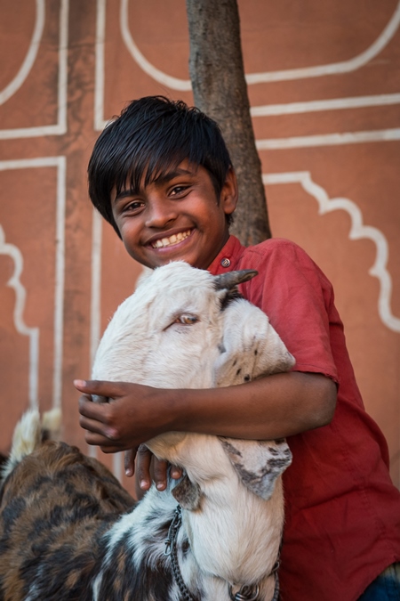 Portait of young Indian boy with goat and orange wall background, Jaipur, India, 2022