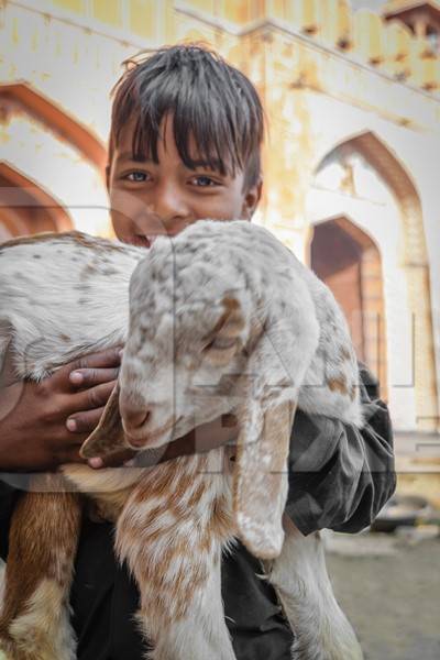 Boy holding a goat in his arms with orange background in the city of Jaipur