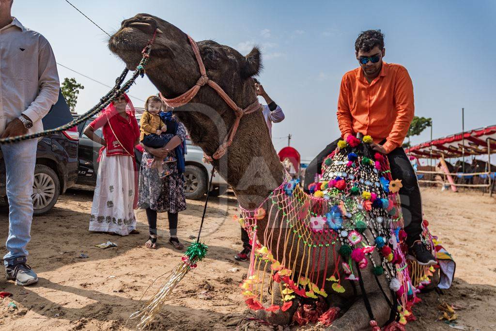 Tourists sitting on decorated Indian camel for tourist ride at Pushkar camel fair in Rajasthan, 2019