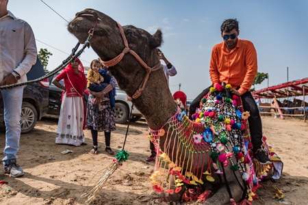 Tourists sitting on decorated Indian camel for tourist ride at Pushkar camel fair in Rajasthan, 2019