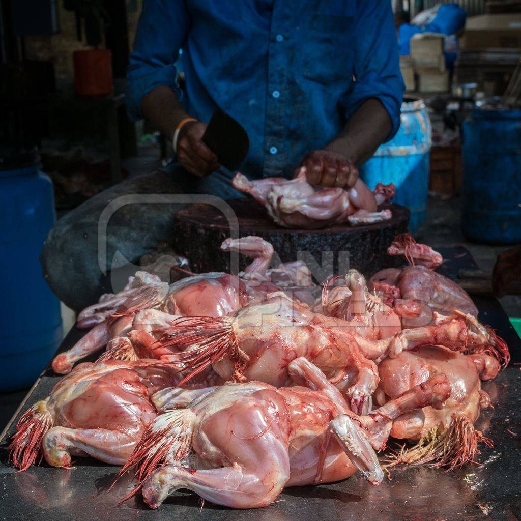 Pile of dead chickens at a chicken meat shop at Crawford meat market