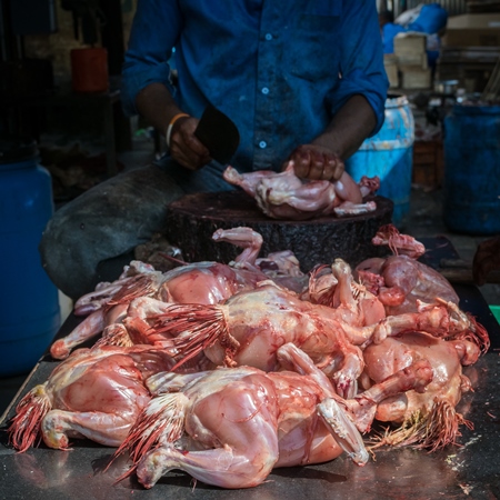 Pile of dead chickens at a chicken meat shop at Crawford meat market