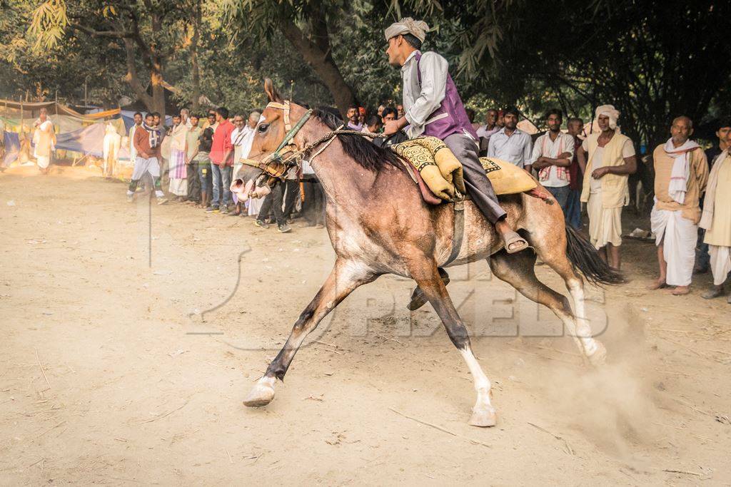 Man riding brown horse in a horse race at Sonepur cattle fair with spectators watching