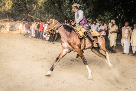 Man riding brown horse in a horse race at Sonepur cattle fair with spectators watching