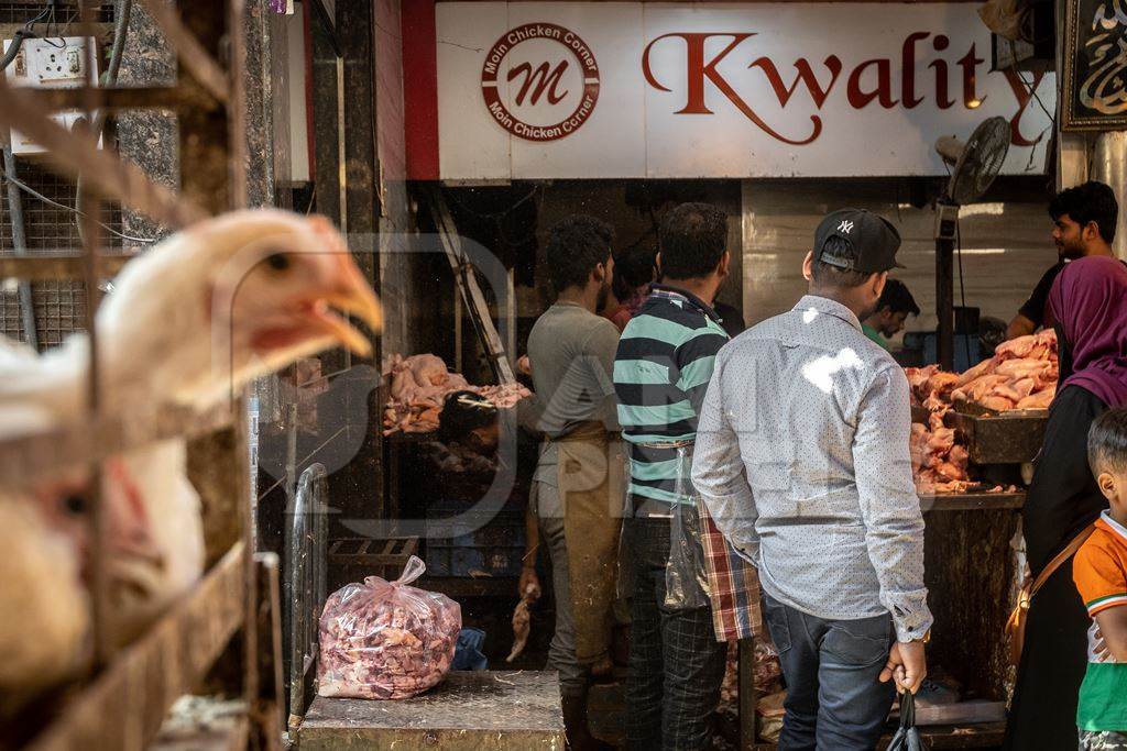 White chicken reaching through the bars of a cage with chicken meat shop and men in background at poultry meat market