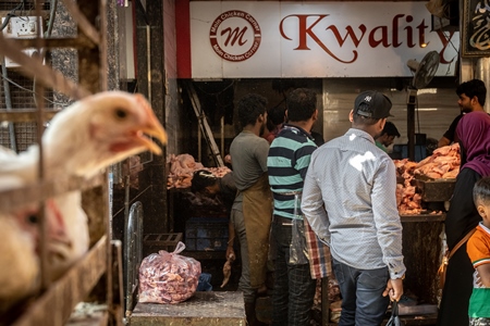 White chicken reaching through the bars of a cage with chicken meat shop and men in background at poultry meat market