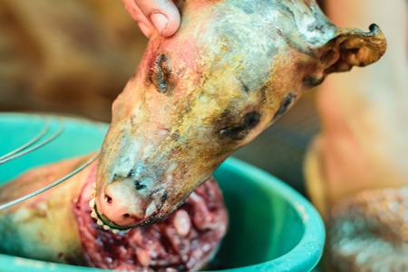 Dead dog heads on sale a dog meat market in Kohima in Nagaland, India, 2018