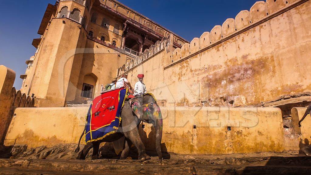 Tourists taking an elephant ride at Amber Fort