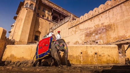 Tourists taking an elephant ride at Amber Fort