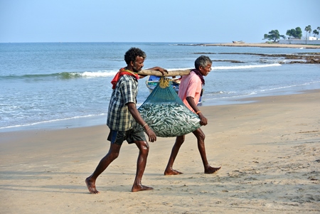 Two men on beach carry fishing net from sea with haul of fish