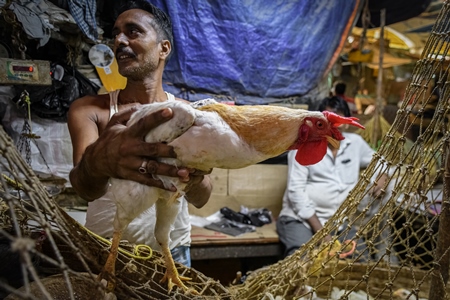 at the chicken meat market inside New Market, Kolkata, India, 2022