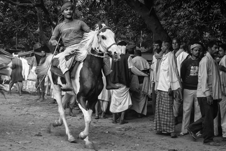Horse in a horse race at Sonepur cattle fair with spectators watching in black and white