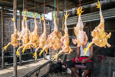 Chickens on sale at a market, 2018