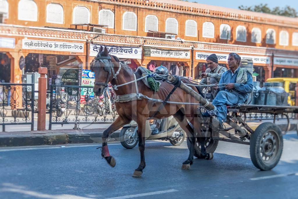 Horse in harness on road pulling dairy cart with two men