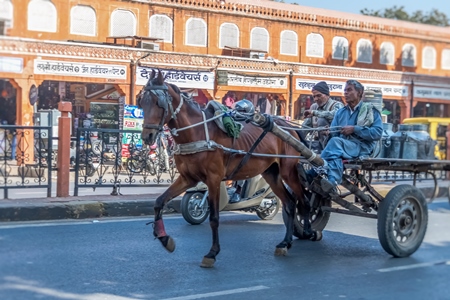 Horse in harness on road pulling dairy cart with two men