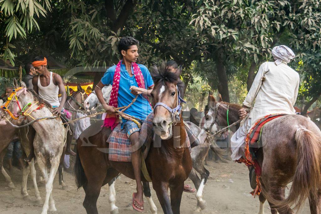 Horses in a horse race at Sonepur cattle fair with spectators watching