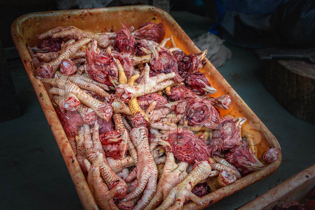 A tray contains chicken heads and feet in a chicken meat shop, Ajmer, Rajasthan, India, 2022