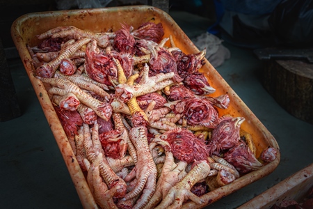 A tray contains chicken heads and feet in a chicken meat shop, Ajmer, Rajasthan, India, 2022