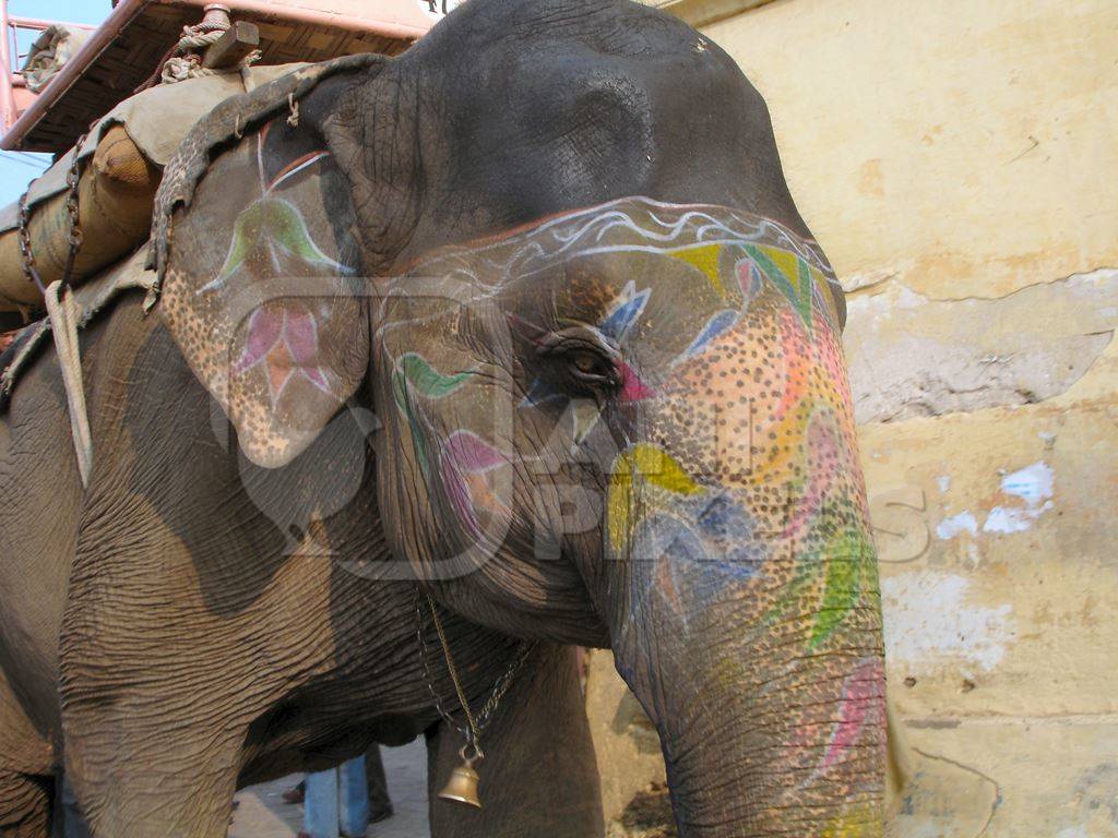Close up of head of painted elephant