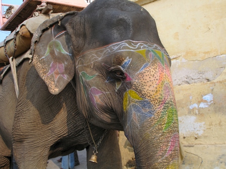 Close up of head of painted elephant