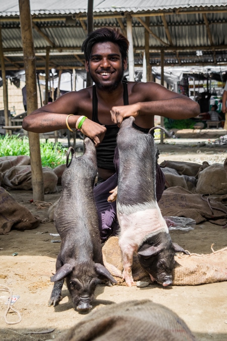 People holding pigs for sale for meat at the weekly animal market