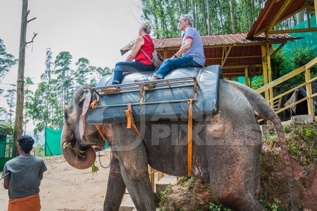 Tourists riding an elephant used for tourist rides in the hills of Munnar in Kerala