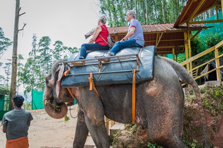 Tourists riding an elephant used for tourist rides in the hills of Munnar in Kerala