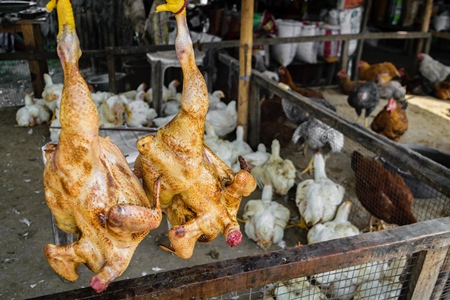 Cooked chickens on sale with live chickens in the background at a market