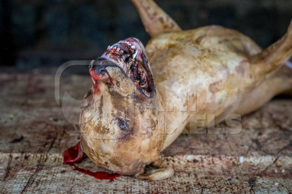 Photo of dead Indian dog killed for dog meat at a live dog meat market in Kohima in the Northeast of India, 2018