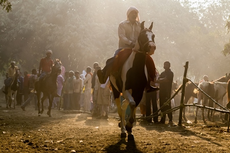 Horse in a horse race at Sonepur cattle fair with spectators watching