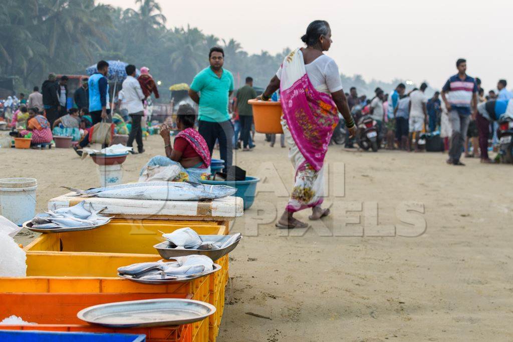 Buyers and sellers at Malvan fish market on beach in Malvan, Maharashtra, India, 2022