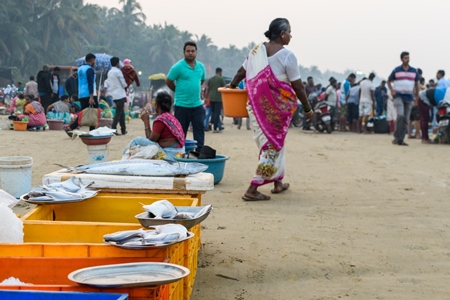 Buyers and sellers at Malvan fish market on beach in Malvan, Maharashtra, India, 2022